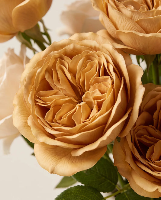 gros plan sur la texture tissu d'une rose artificielle, pétales mats et dégradé de couleur visible