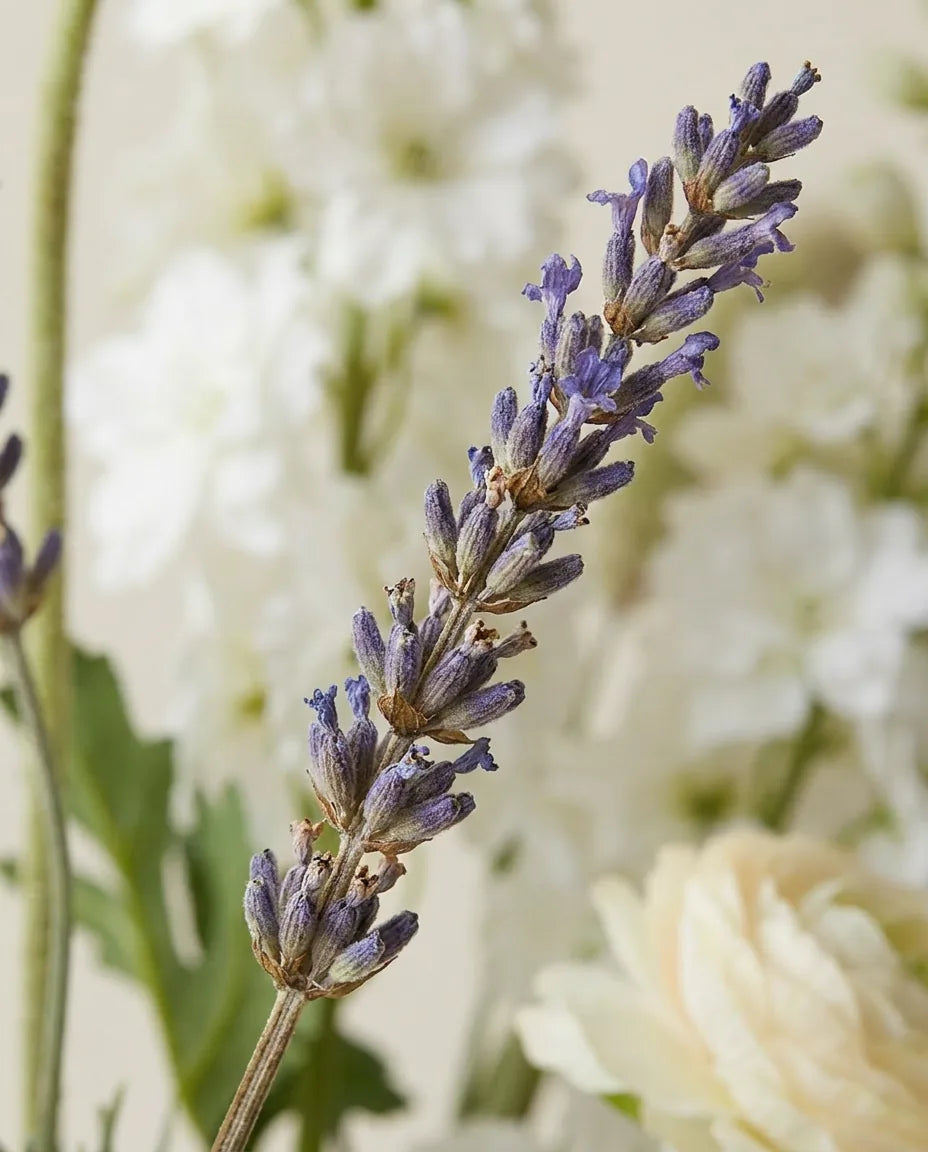 Gros plan sur les brins de lavande artificielle du bouquet Prairie Blanche