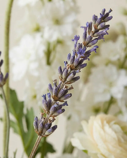 Gros plan sur les brins de lavande artificielle du bouquet Prairie Blanche