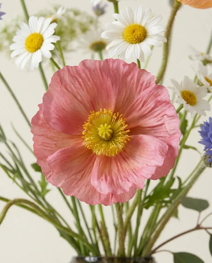 Gros plan sur les pavots d'Islande artificiels du bouquet Prés Fleuris