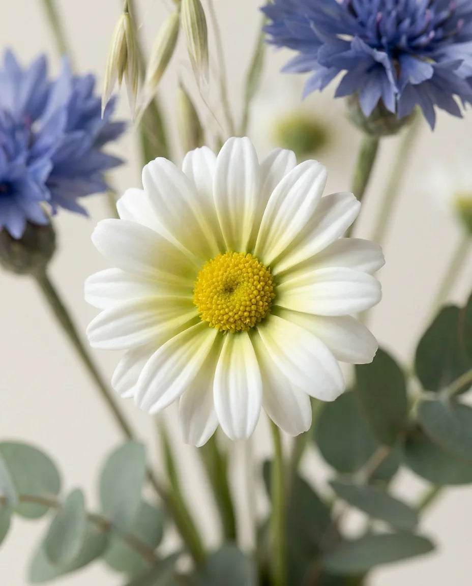 Gros plan sur les marguerites artificielles du bouquet Petit Bouquet des Prés
