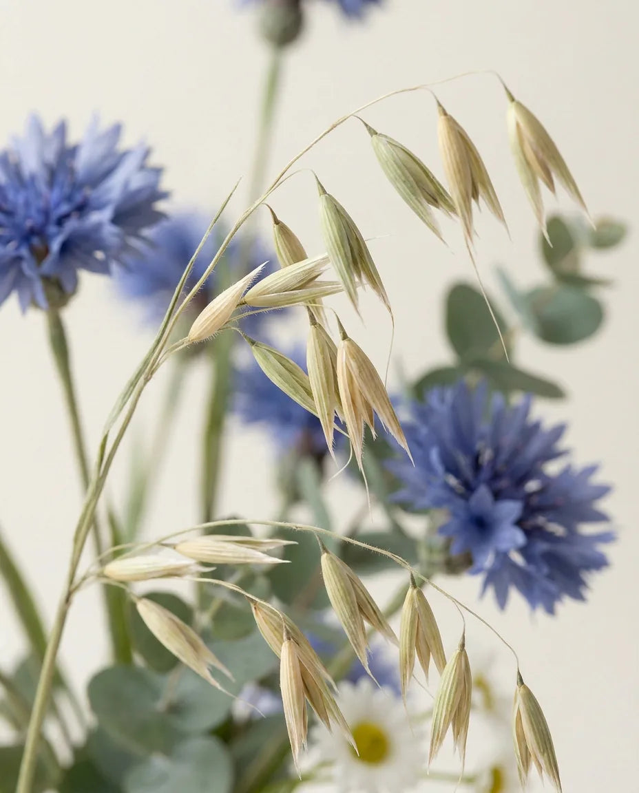 Gros plan sur les épis d'avoine artificielle du bouquet Petit Bouquet des Prés