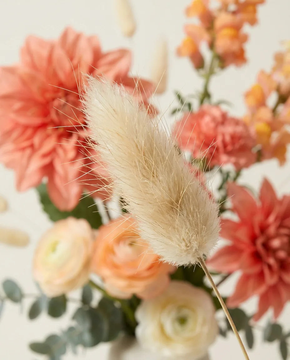 Gros plan sur les lagurus artificiels du bouquet Corail Vif