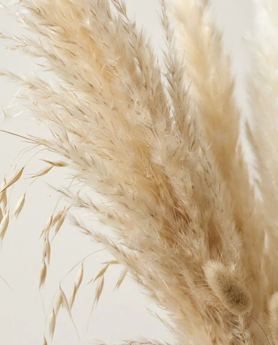 Gros plan sur la pampa artificielle du bouquet Grande Pampa Bohème XL