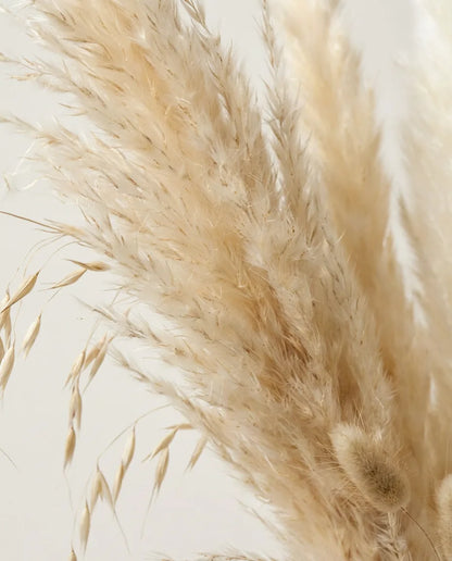 Gros plan sur la pampa artificielle du bouquet Grande Pampa Bohème XL