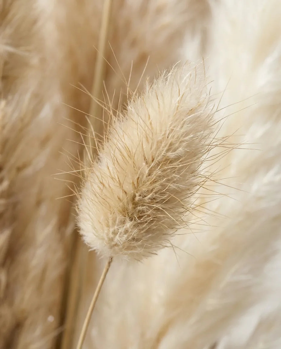 Gros plan sur les lagurus artificiels du bouquet Grande Pampa Bohème XL