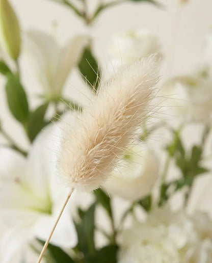 Gros plan sur les lagurus artificiels du bouquet Blanc Éternel