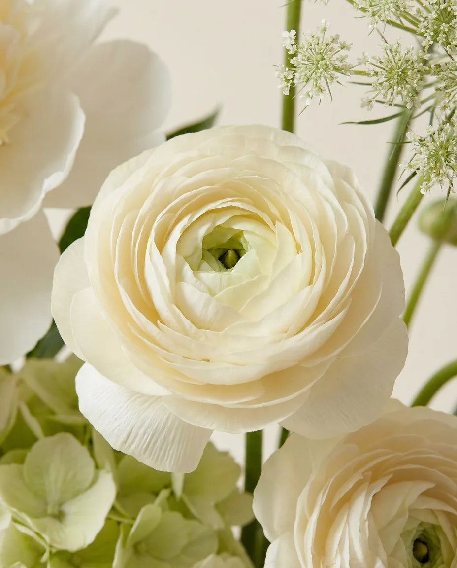 Gros plan sur les renoncules artificielles du bouquet Jardin Blanc