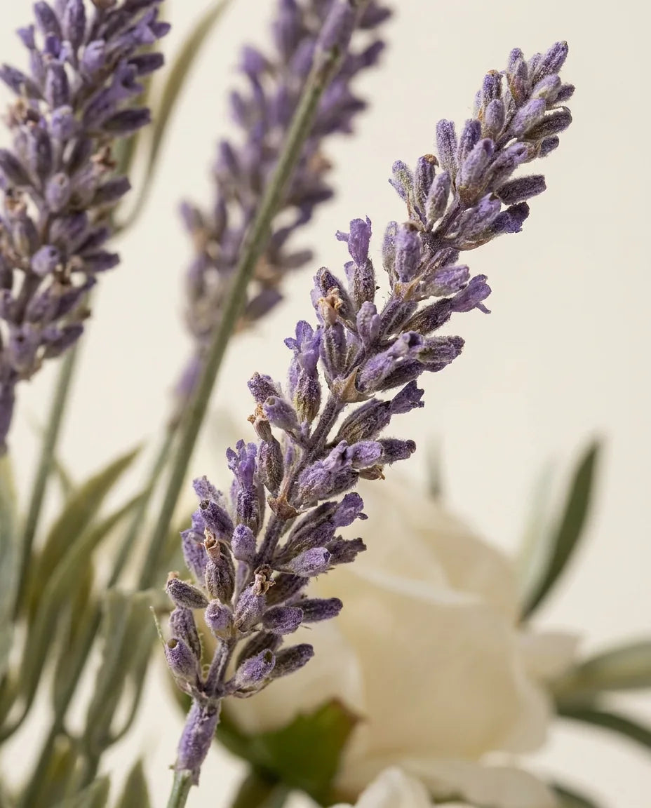 Gros plan sur la lavande artificielle du bouquet Lavande d'Août