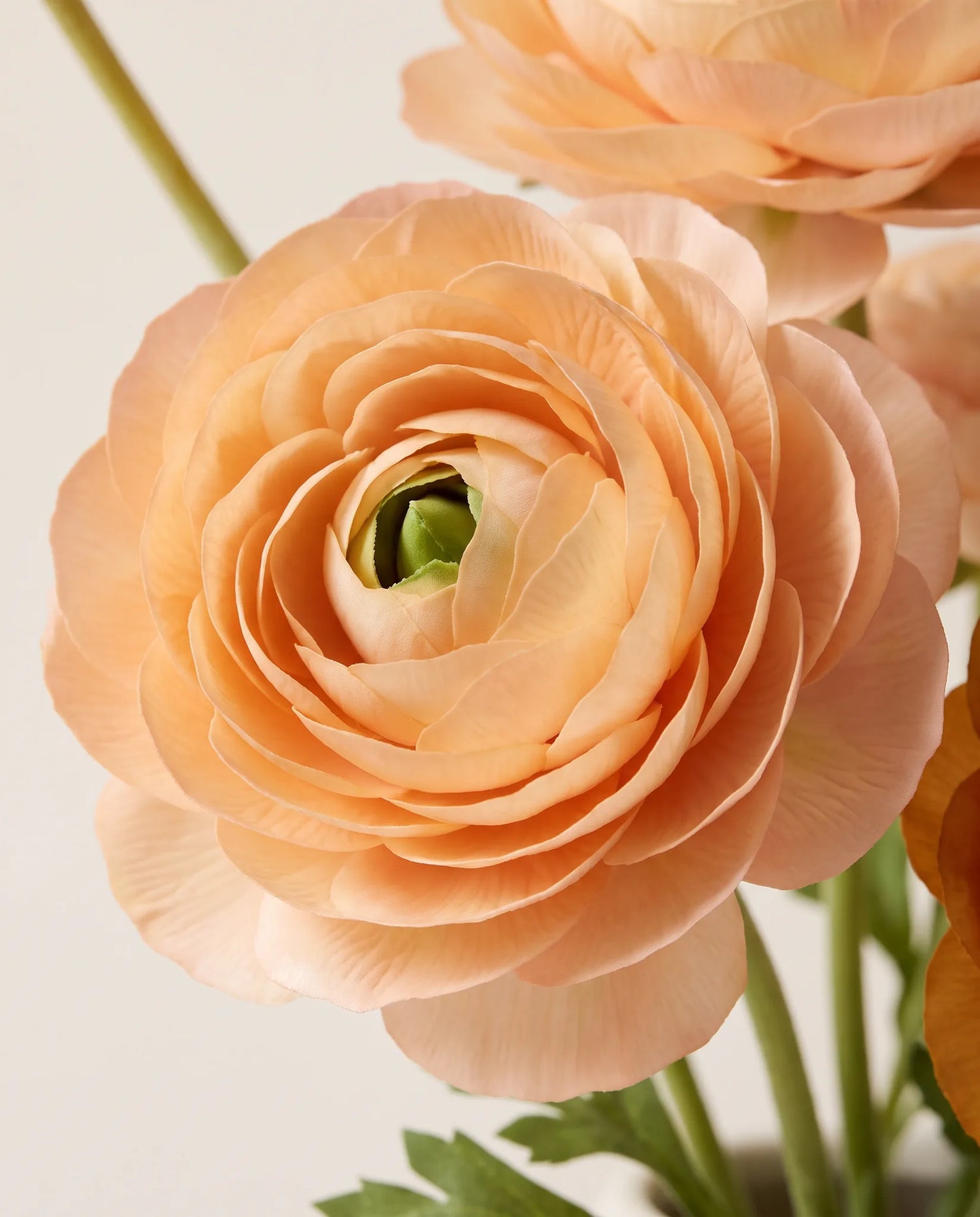 Gros plan sur les renoncules artificielles du bouquet Crème Caramel