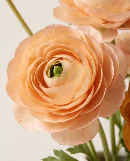 Gros plan sur les renoncules artificielles du bouquet Crème Caramel