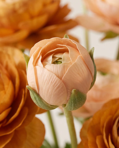 Détail des boutons ronds et des tiges fines du bouquet artificiel Crème Caramel