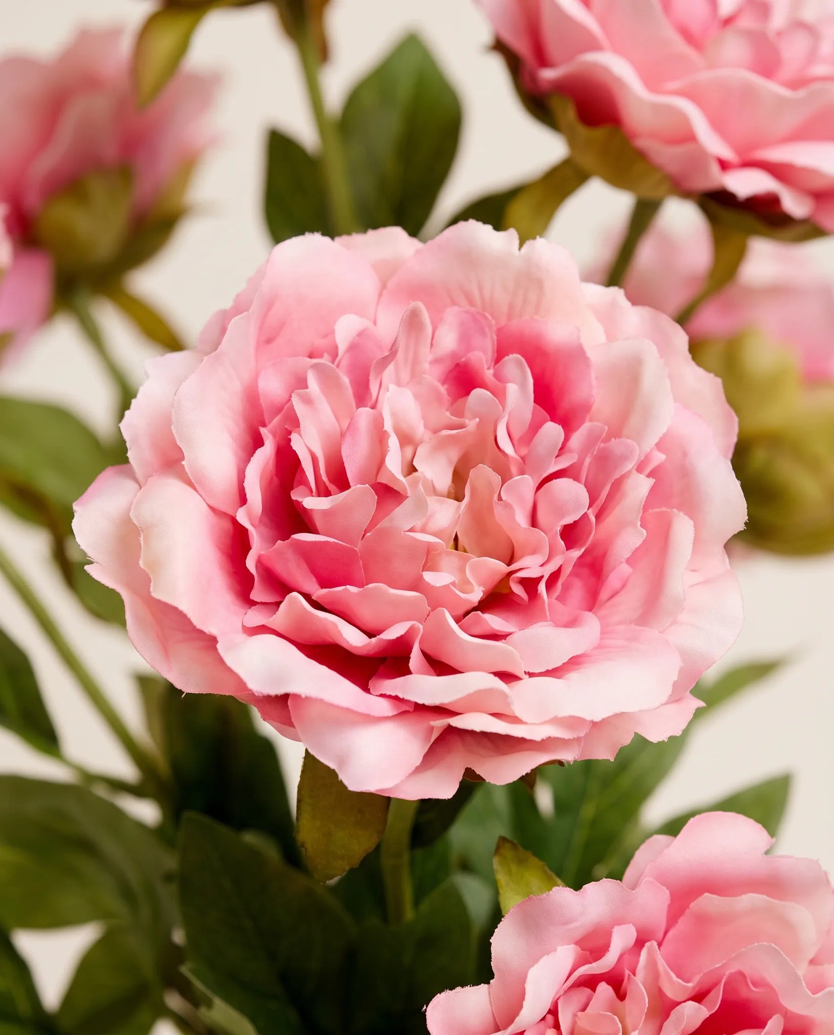 Gros plan sur les pivoines artificielles du bouquet Jardin de Mai