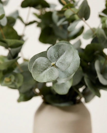 Gros plan sur les feuilles rondes d'eucalyptus artificiel du bouquet Brume d'Argent