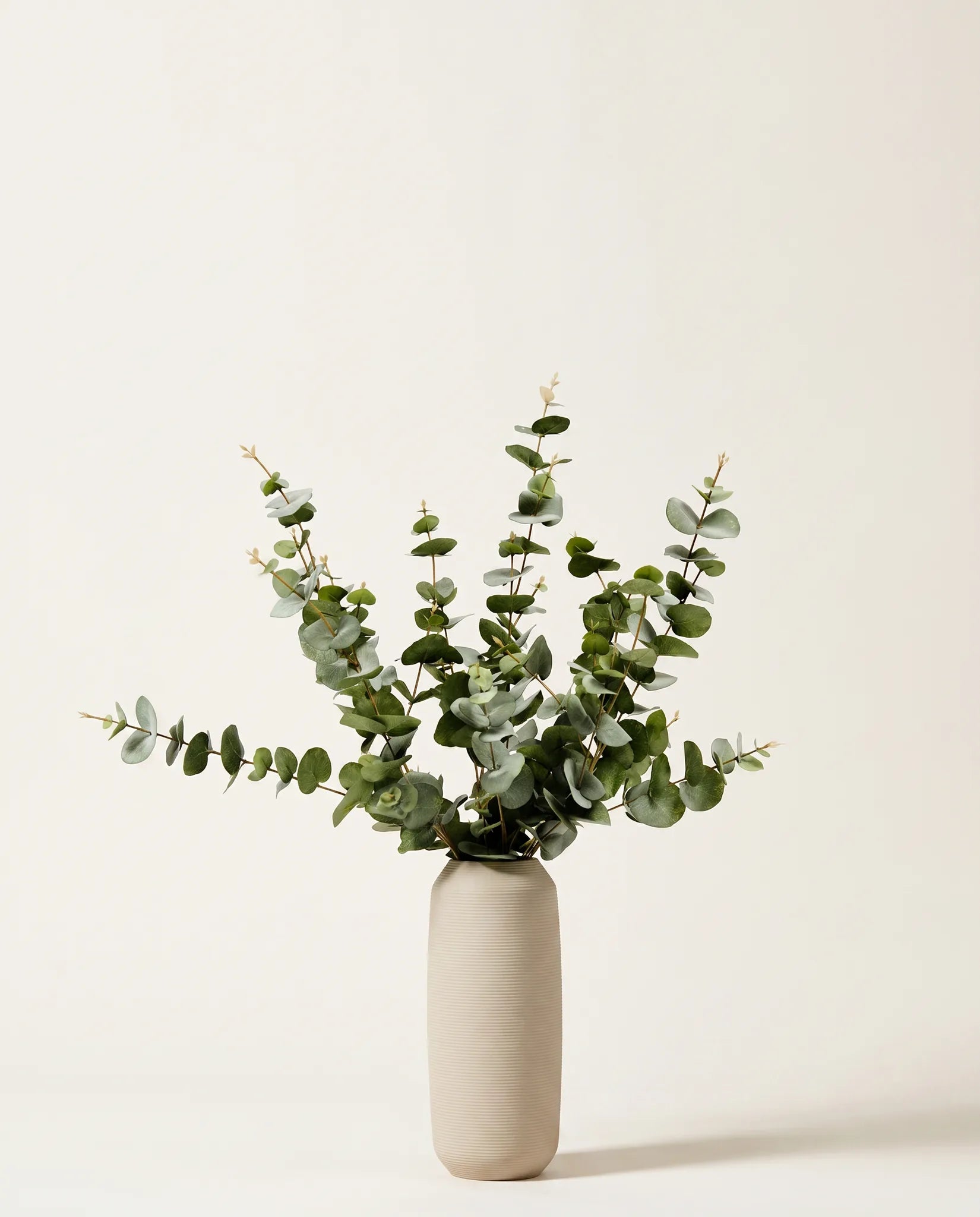 Bouquet artificiel d'eucalyptus vert gris en gros plan