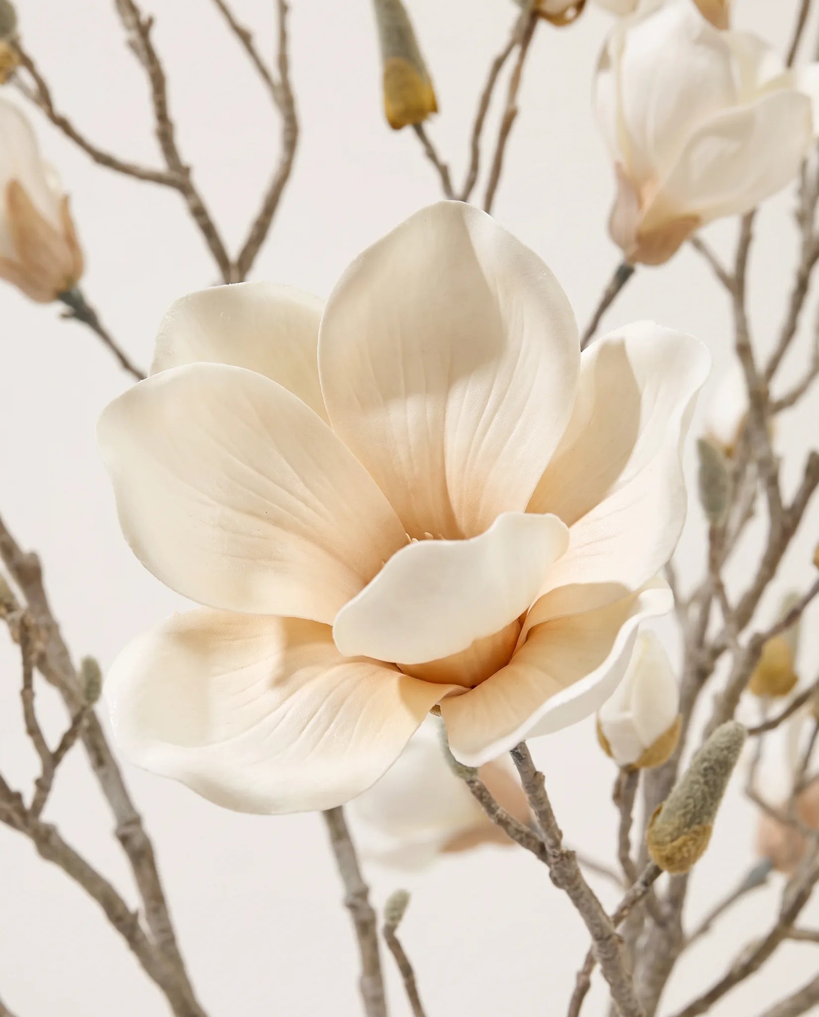 Gros plan sur les fleurs de magnolia artificielles des branches Printemps Naissant