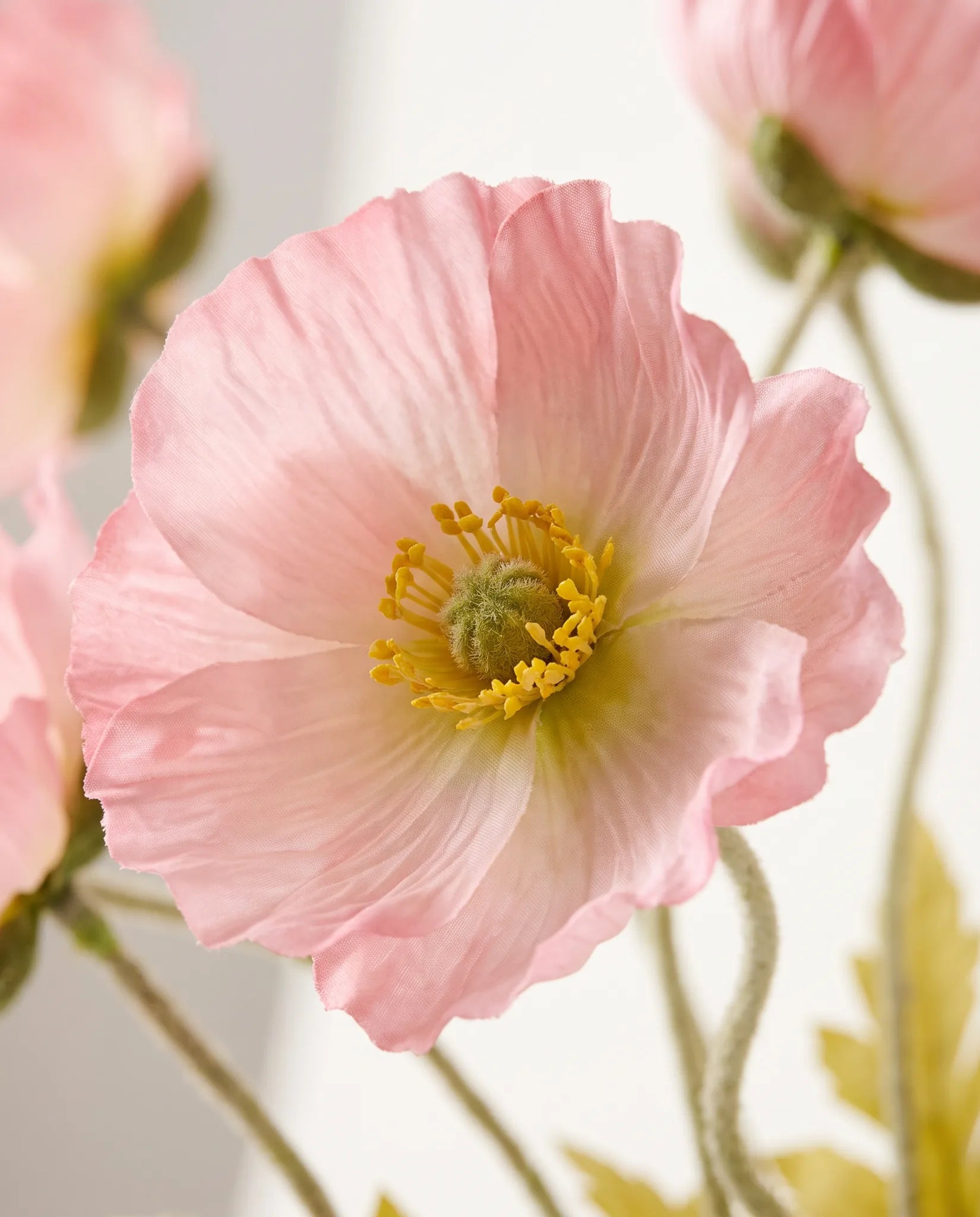 Gros plan sur les pavots d'Islande artificiels du bouquet Islande Rose