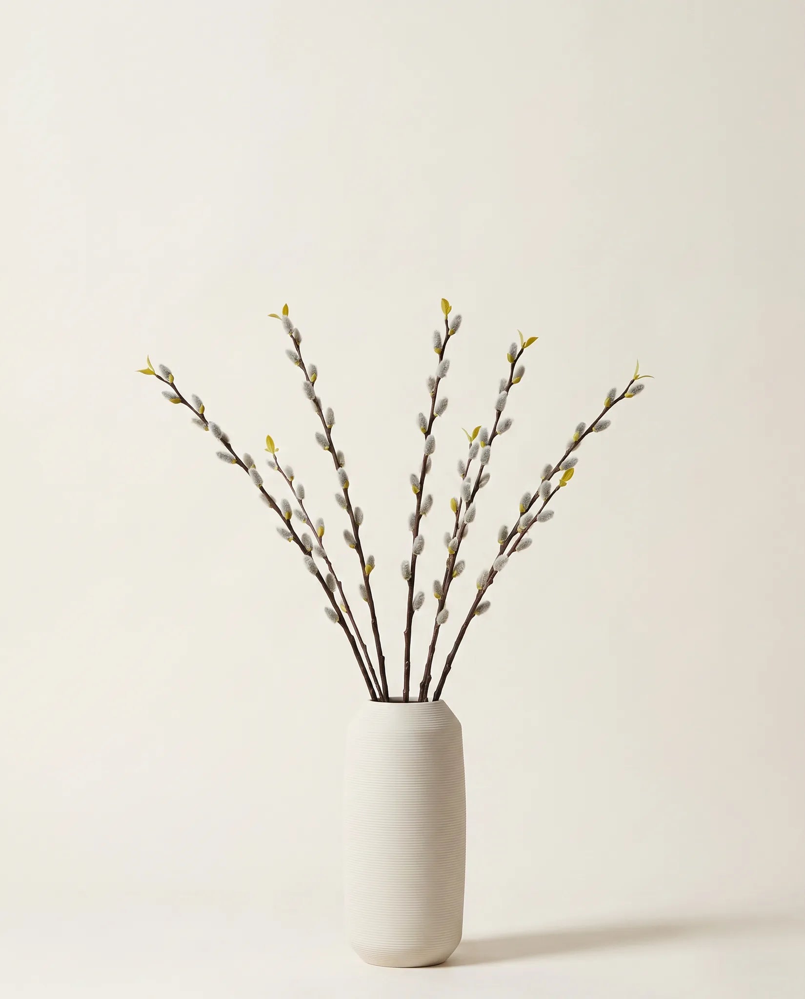 Vase céramique blanc crème strié avec bouquet de chatons de saule artificiels