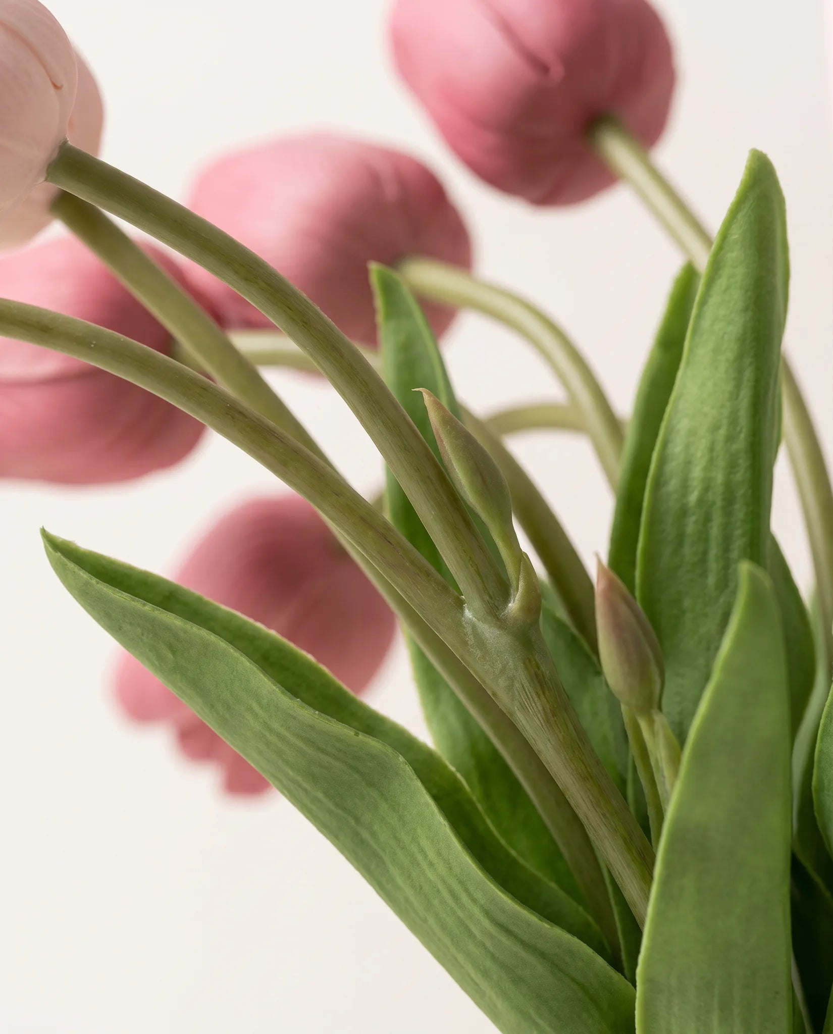 Détail des tiges courbes et des larges feuilles du bouquet artificiel Rose Bonbon