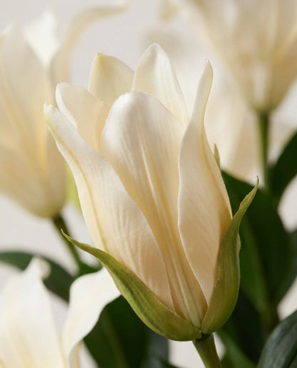 Détail des boutons allongés et des tiges du bouquet artificiel Blanc de Lune
