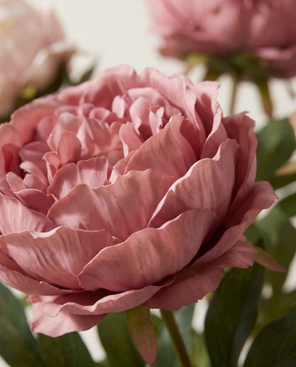 Gros plan sur les pivoines artificielles épanouies du bouquet Jardin d'Antan