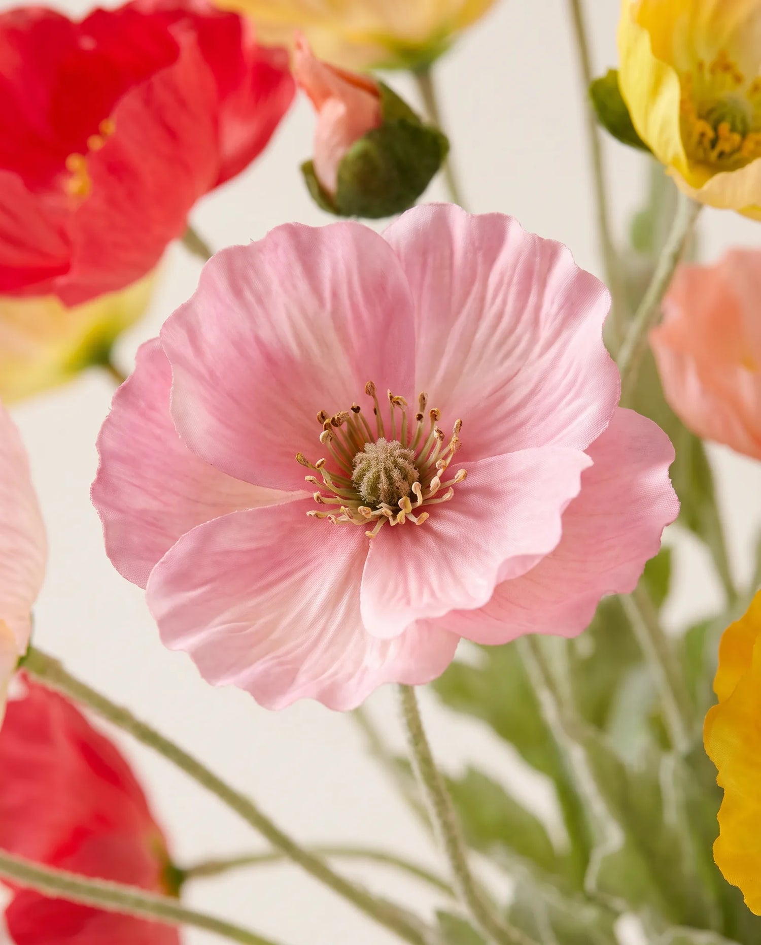 Gros plan sur les corolles de pavot d'Islande artificiel du bouquet Aquarelle