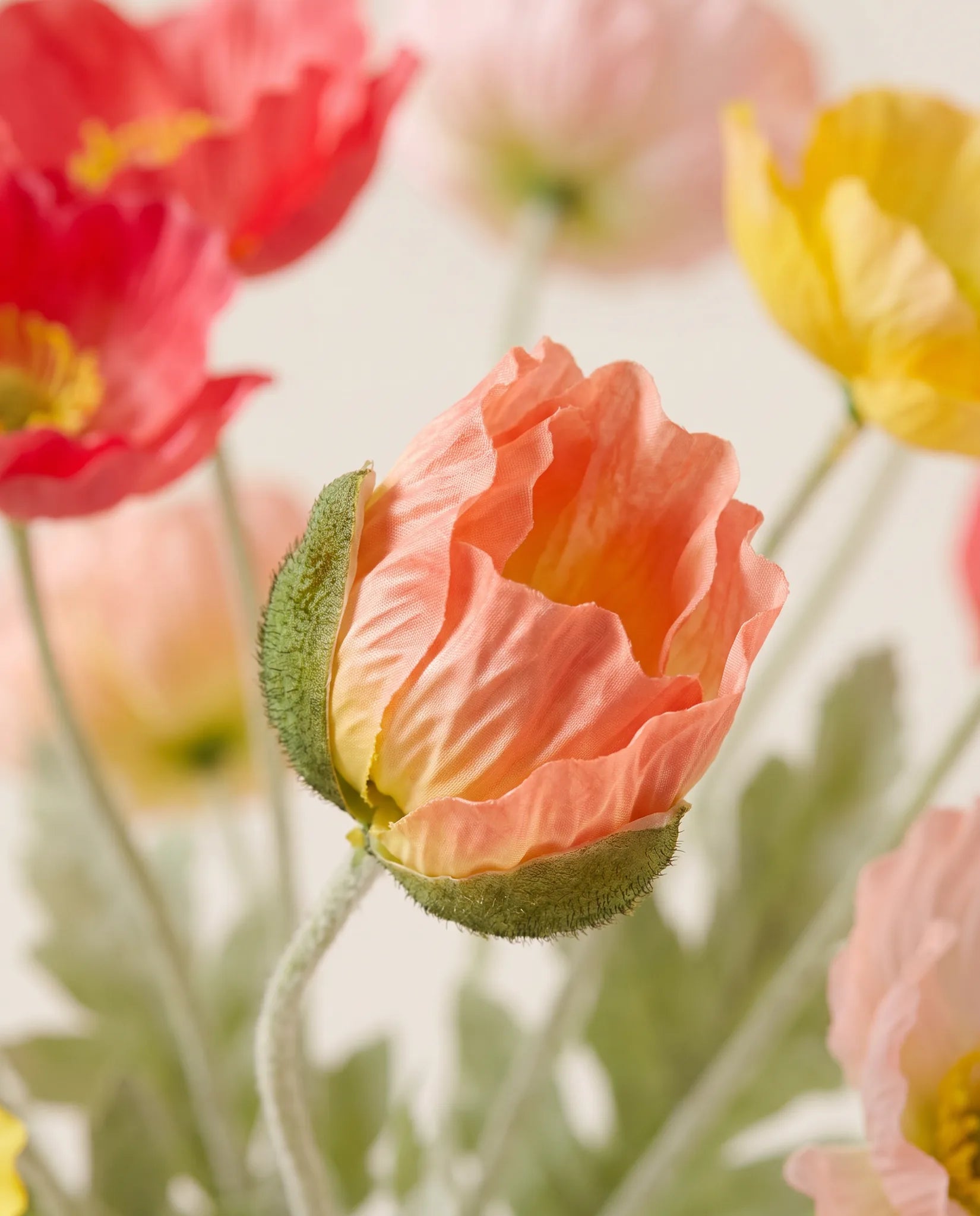 Détail des tiges velues et des boutons penchés du bouquet artificiel Aquarelle