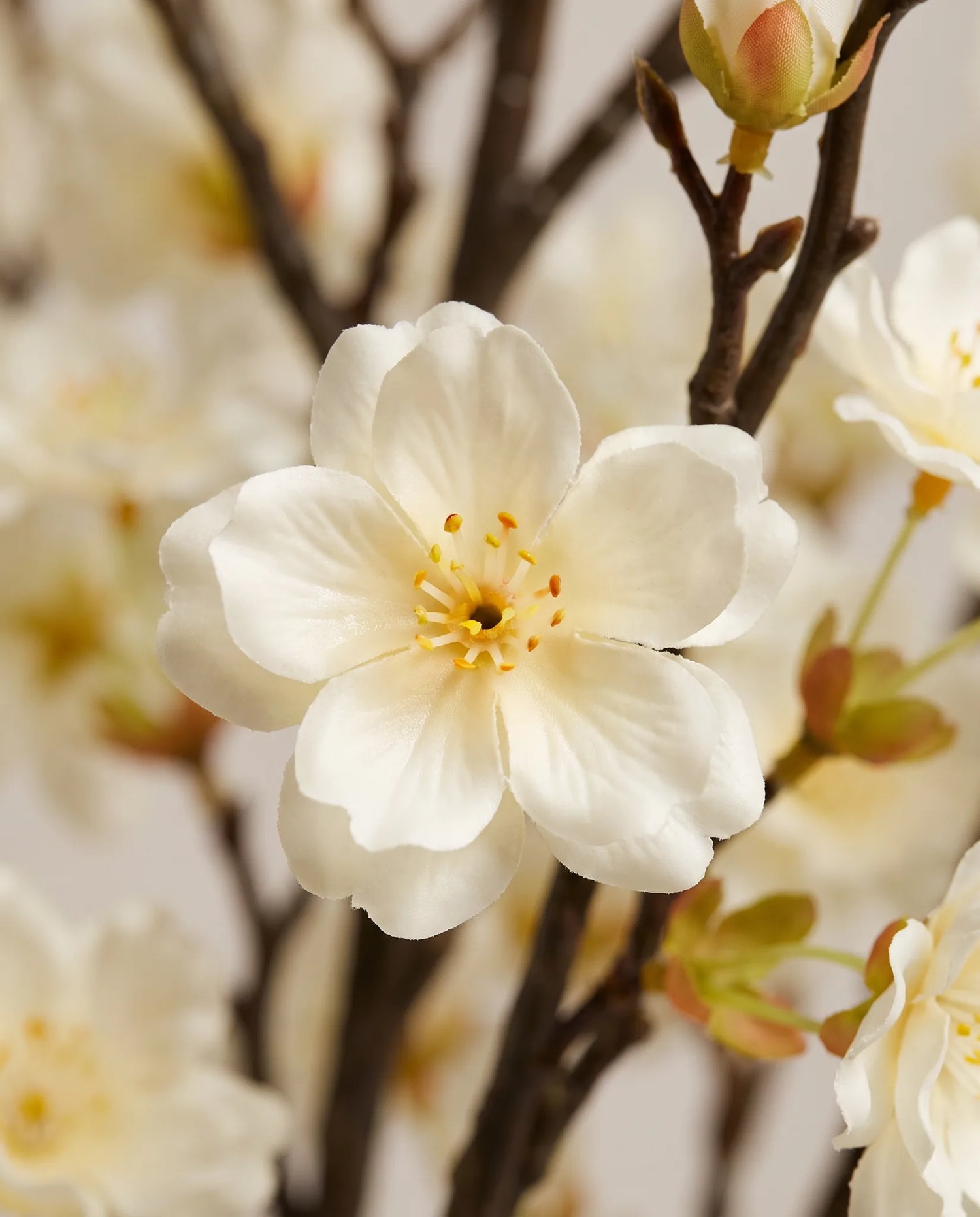 Gros plan sur les fleurs de cerisier artificielles des branches Neige de Printemps