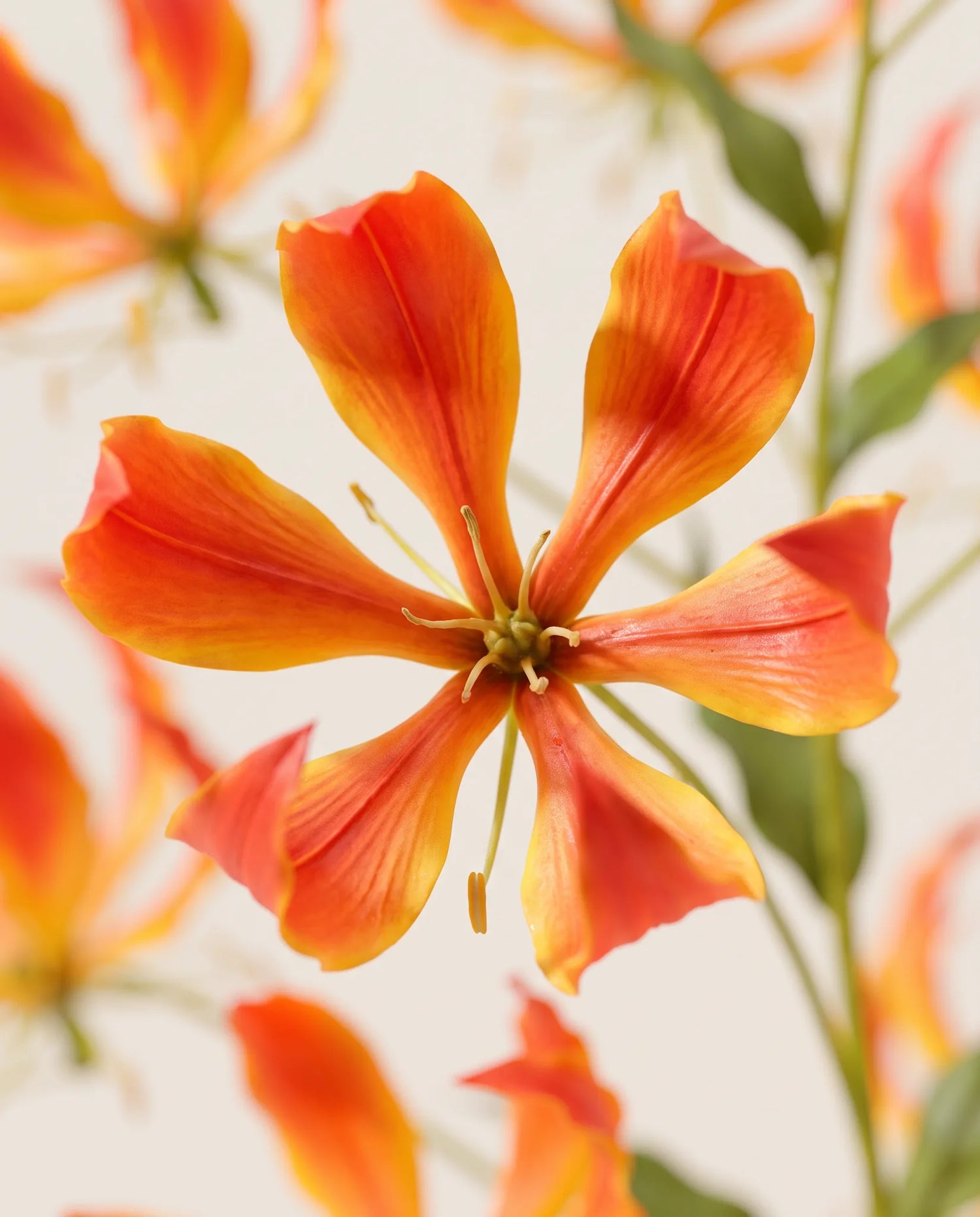 Gros plan sur les glorieuses artificielles du bouquet Flamme Dorée