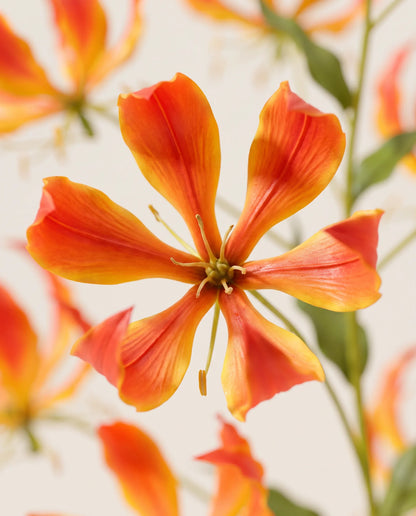 Gros plan sur les glorieuses artificielles du bouquet Flamme Dorée