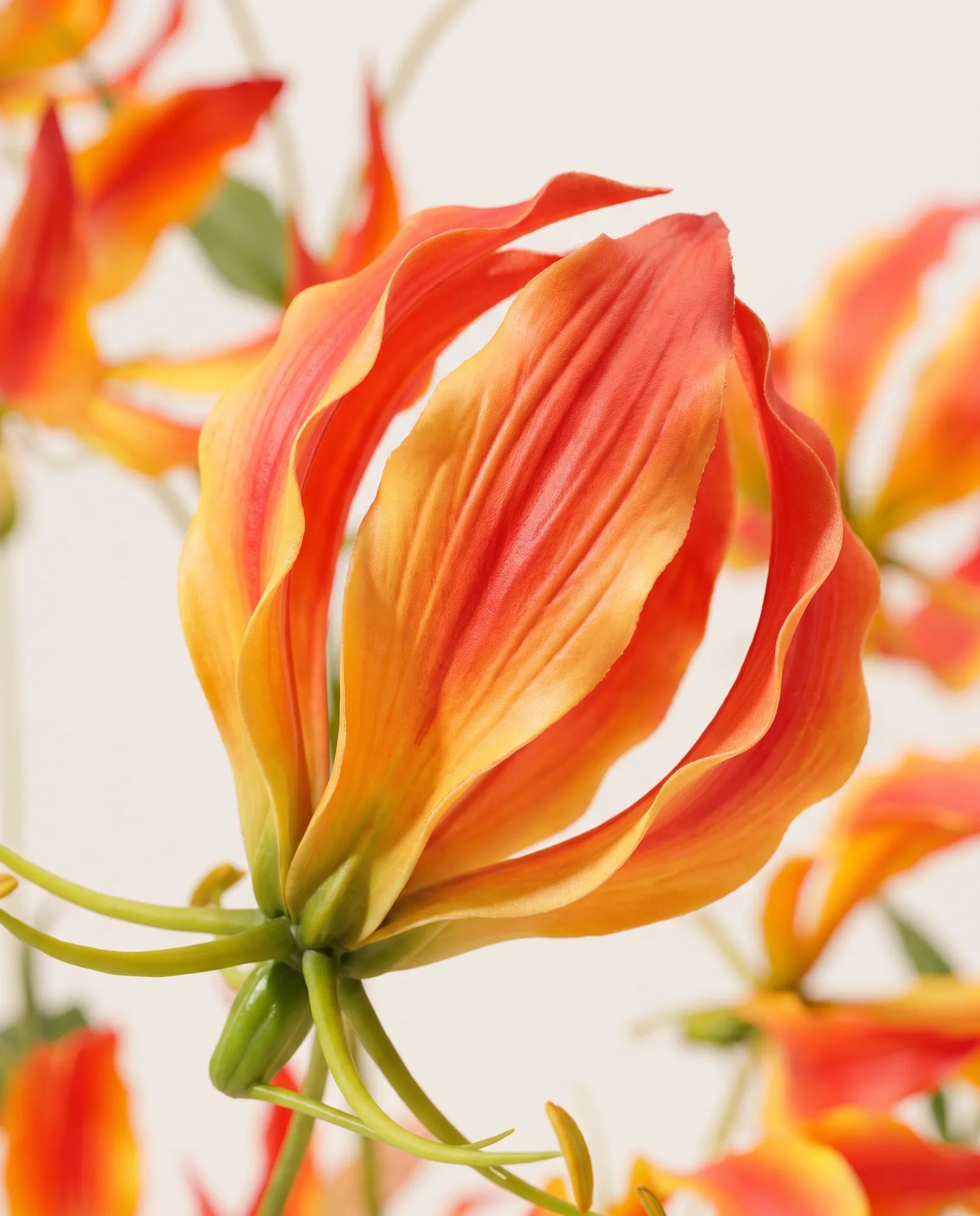 Détail des pétales ondulés et des tiges grimpantes du bouquet artificiel Flamme Dorée