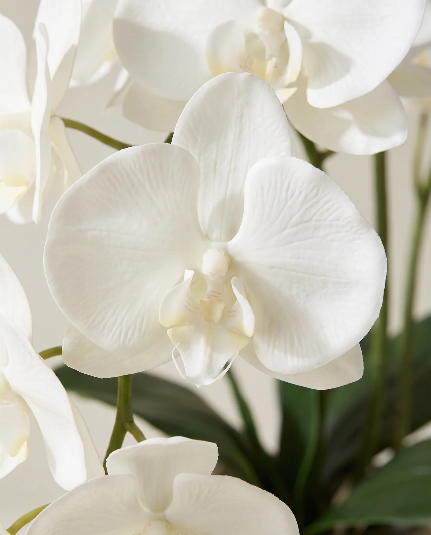 Gros plan sur les orchidées artificielles blanches du bouquet Envol Blanc