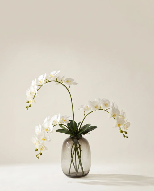 Bouquet artificiel d'orchidées blanches dans un vase en verre ambré
