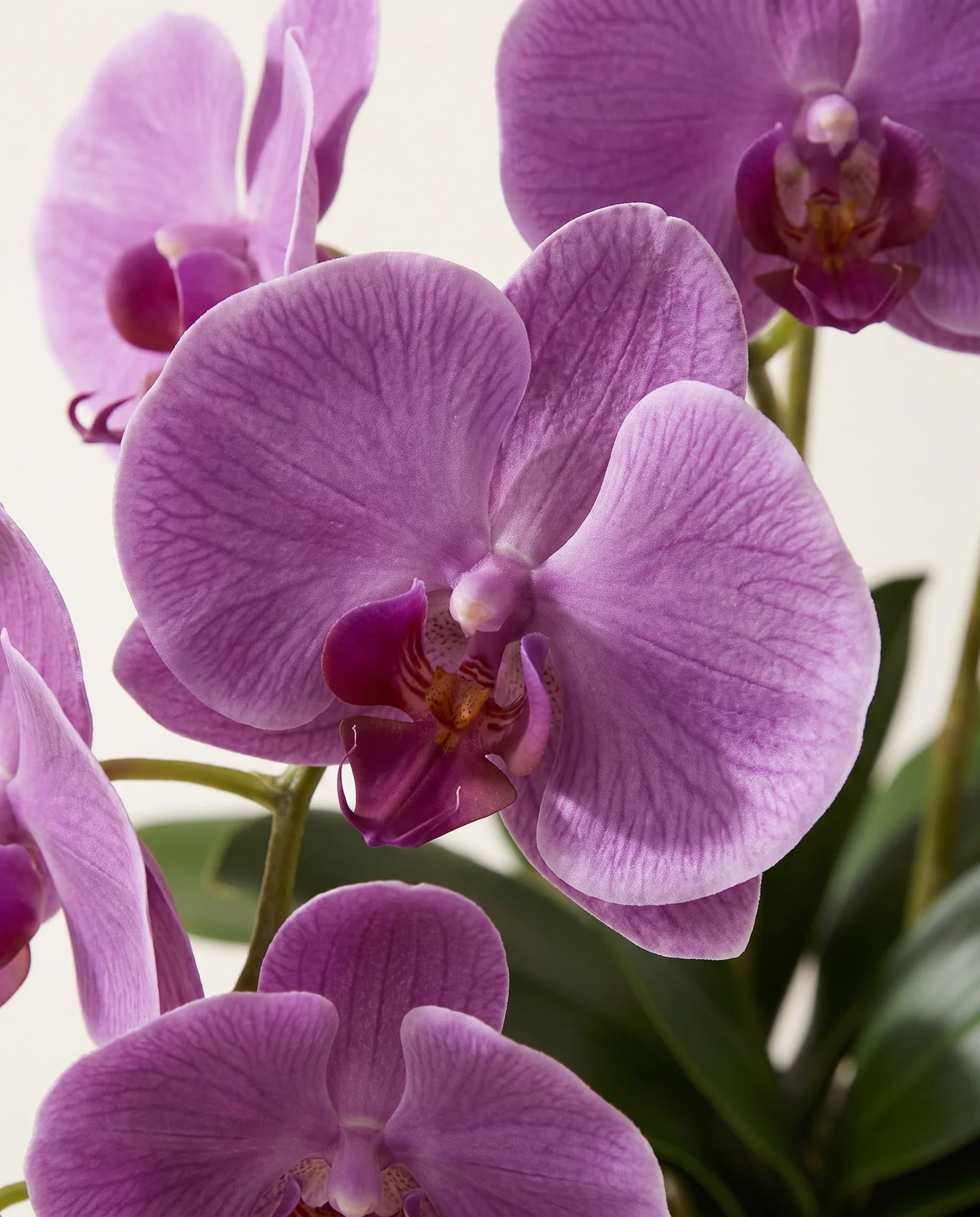 Gros plan sur les orchidées artificielles du bouquet Papillon Violet