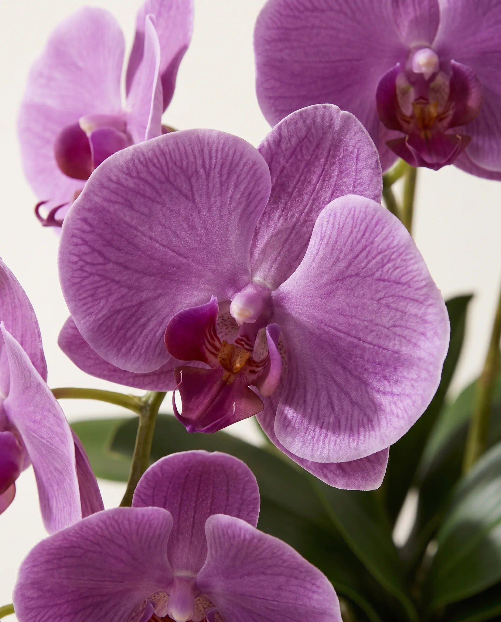 Gros plan sur les orchidées artificielles du bouquet Papillon Violet