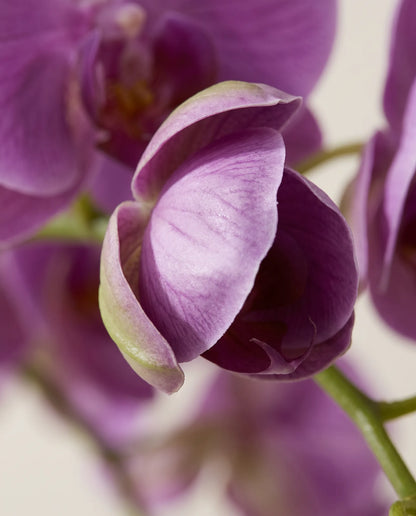 Détail des tiges arquées et des boutons du bouquet artificiel Papillon Violet