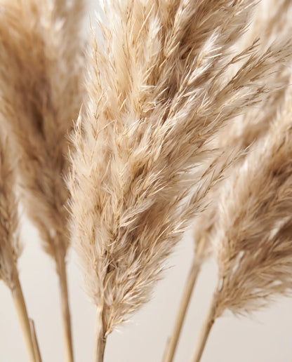 Gros plan sur les plumeaux de pampa artificielle du bouquet Dune Blonde