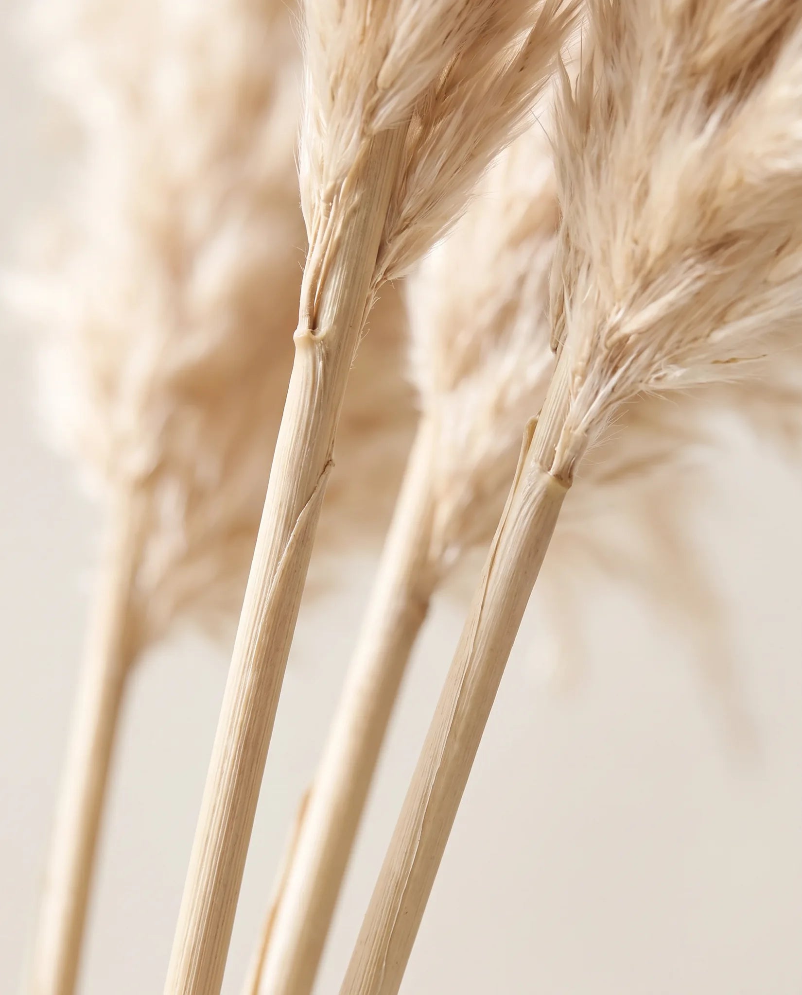 Détail des longues tiges nues du bouquet artificiel Dune Blonde