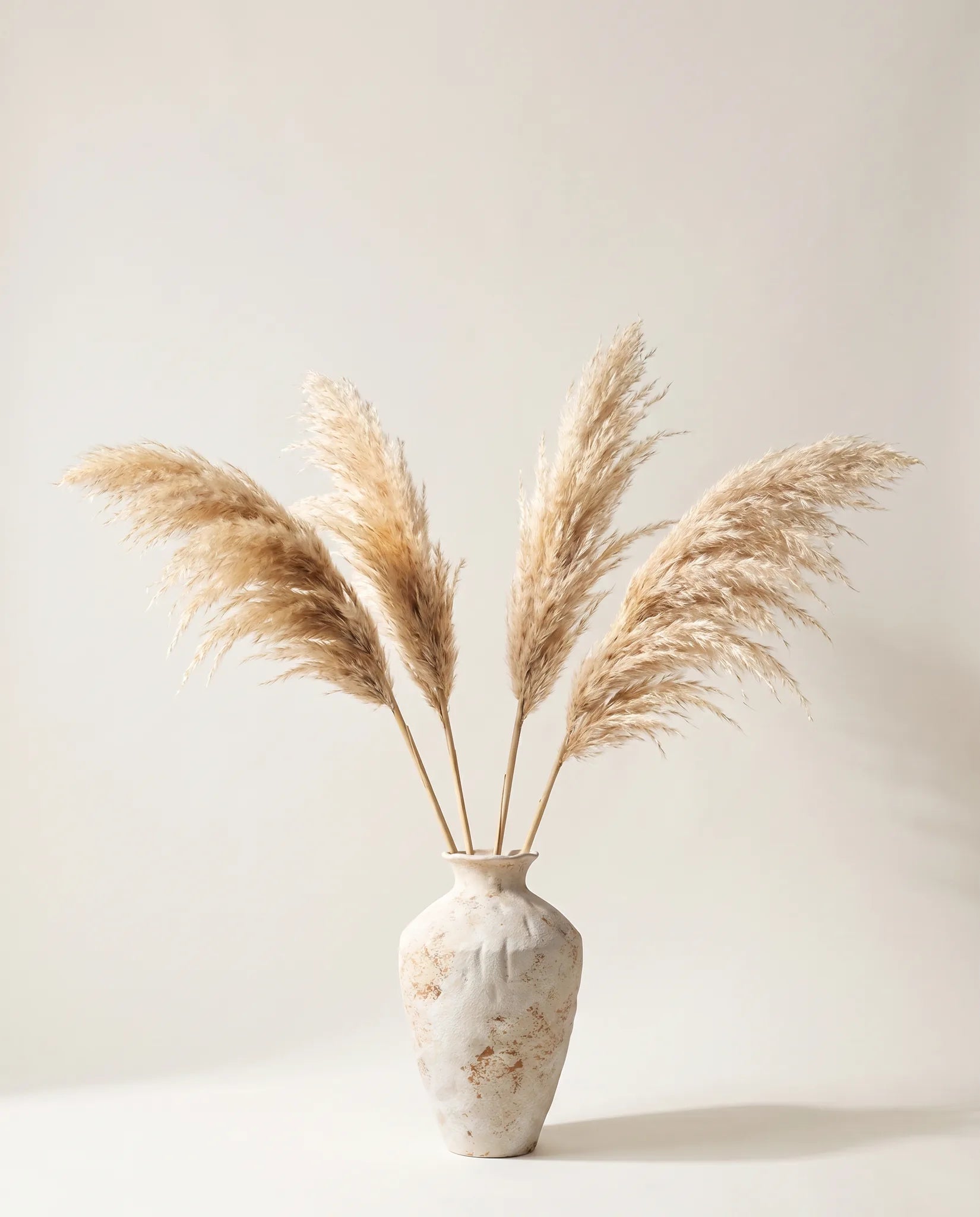 Vase terracotta patiné avec bouquet de pampas beige naturel artificielles