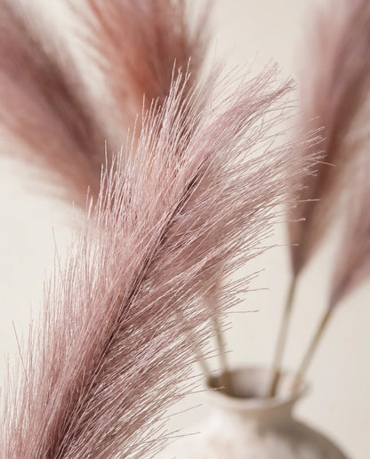 Gros plan sur les épis duveteux de la pampa artificielle du bouquet Barbe à Papa