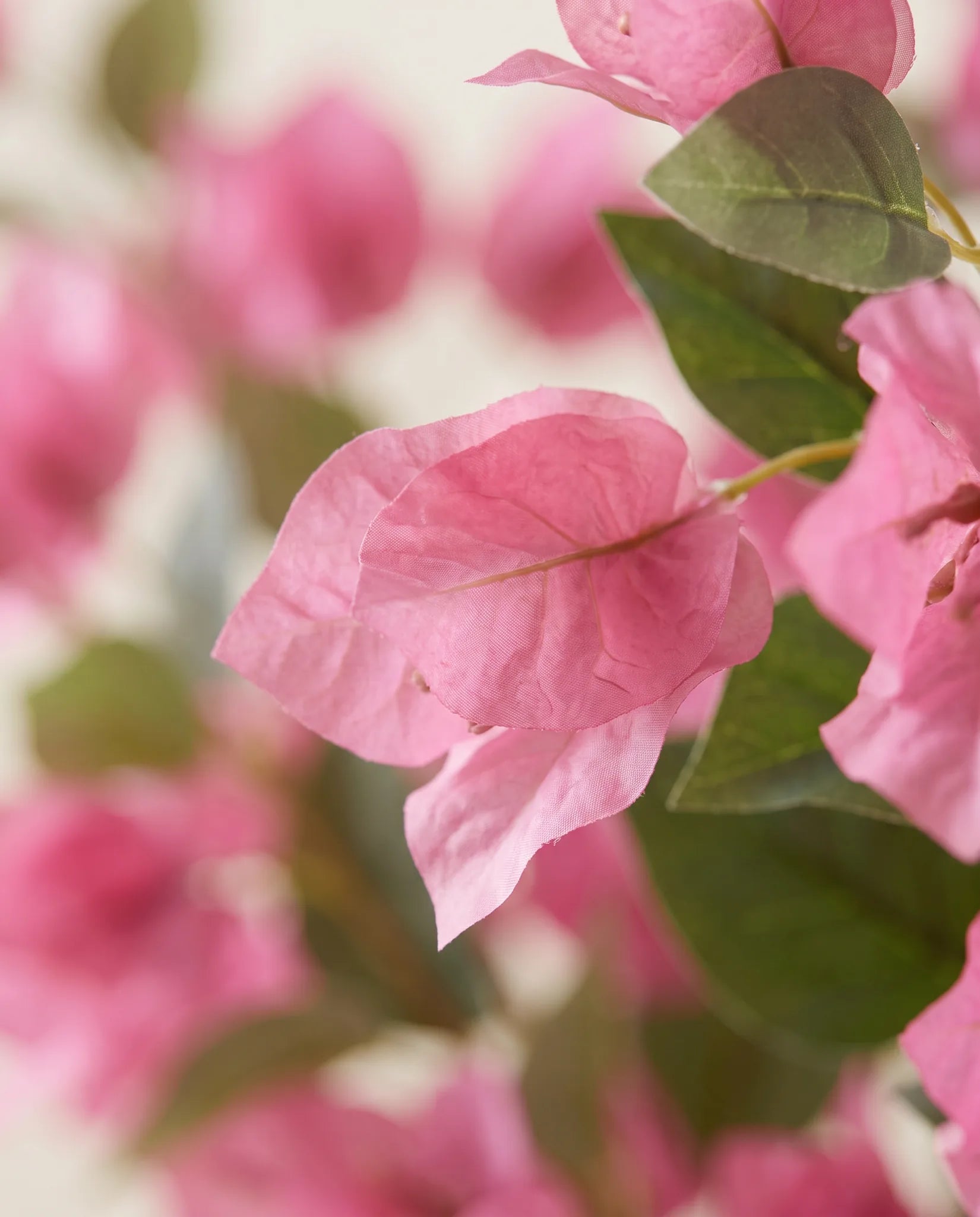 Gros plan sur les bractées de bougainvillier artificiel du bouquet Riviera
