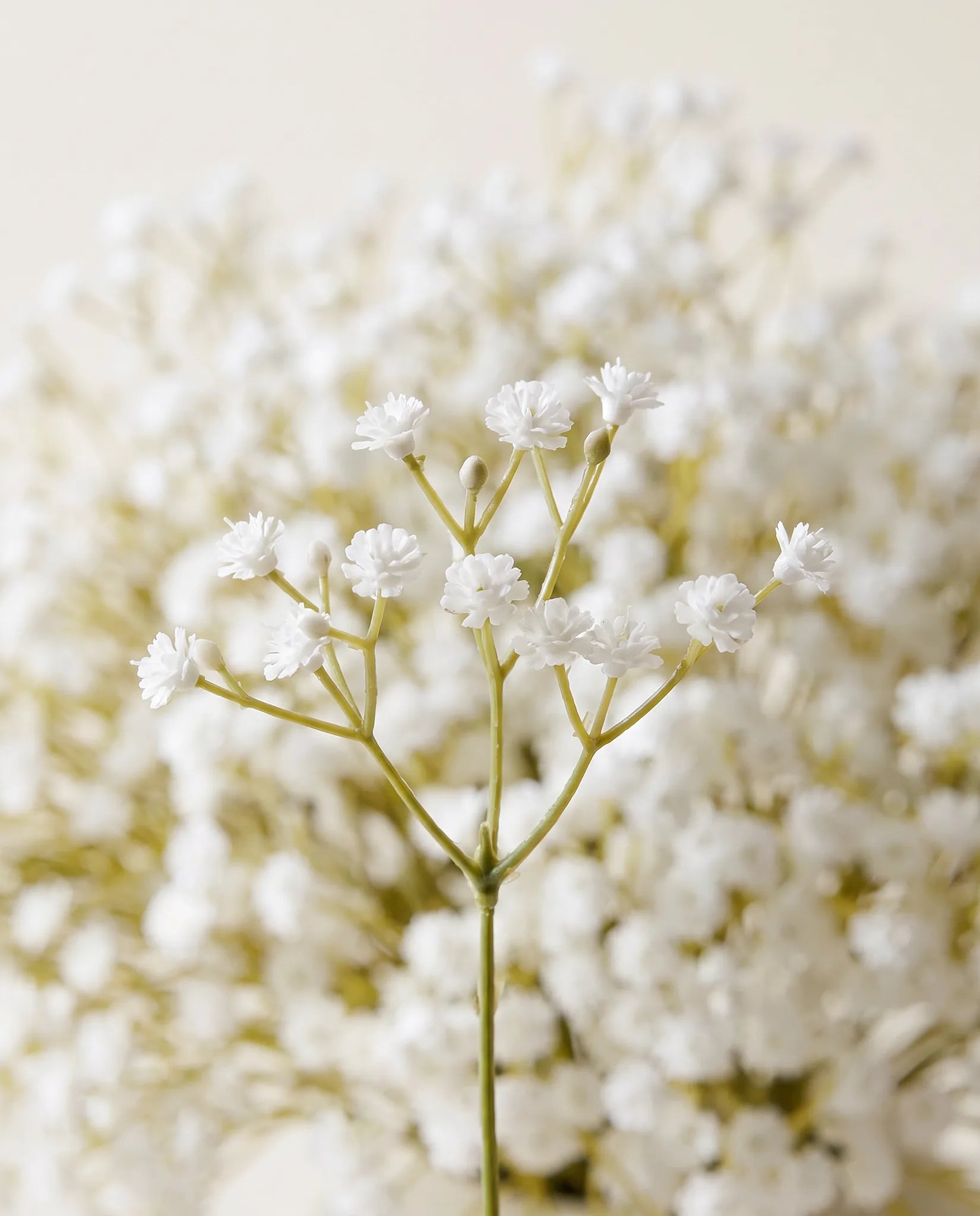Gros plan sur la gypsophile artificielle du bouquet Nuage Blanc