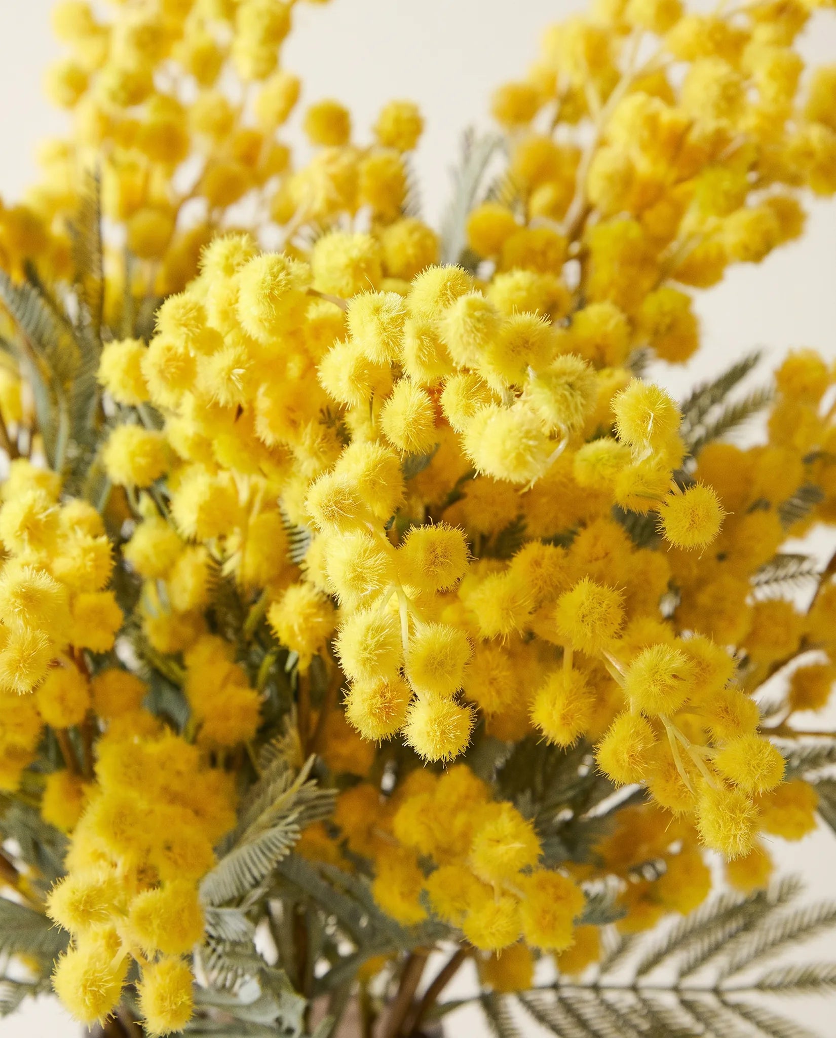 Gros plan sur les pompons de mimosa artificiel du bouquet Soleil d'Hiver