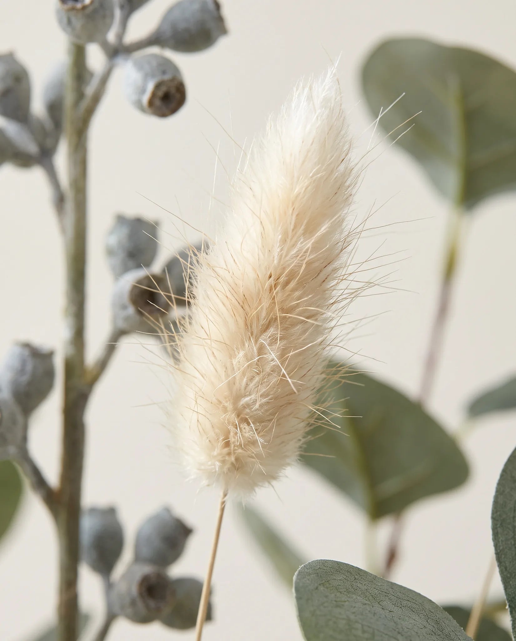 Gros plan sur les lagurus artificiels de « Matin d'Eucalyptus »