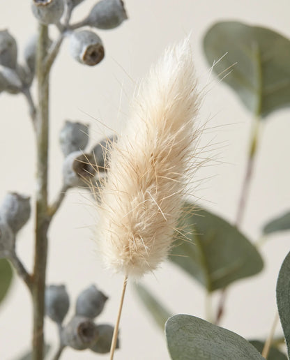 Gros plan sur les lagurus artificiels de « Matin d'Eucalyptus »
