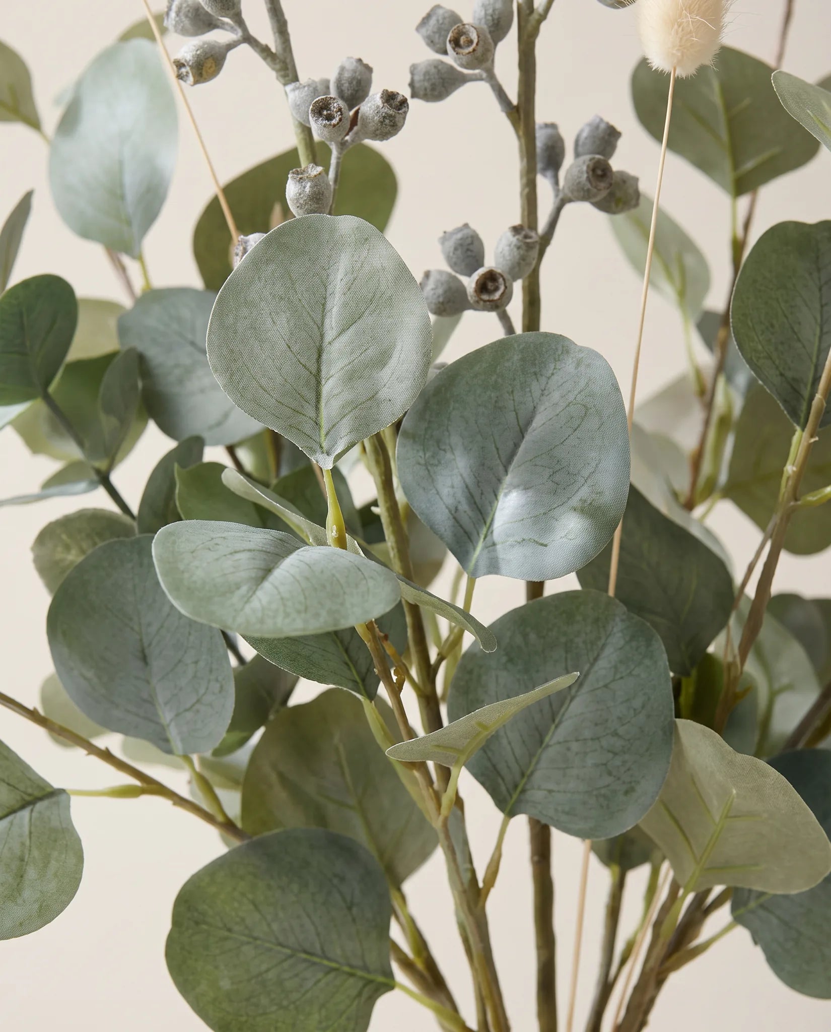 Gros plan sur l'eucalyptus artificiel de « Matin d'Eucalyptus »