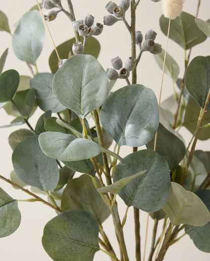 Gros plan sur l'eucalyptus artificiel de « Matin d'Eucalyptus »