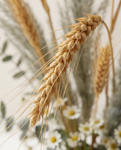 Gros plan sur le blé artificiel de « Pré Doré », en détail