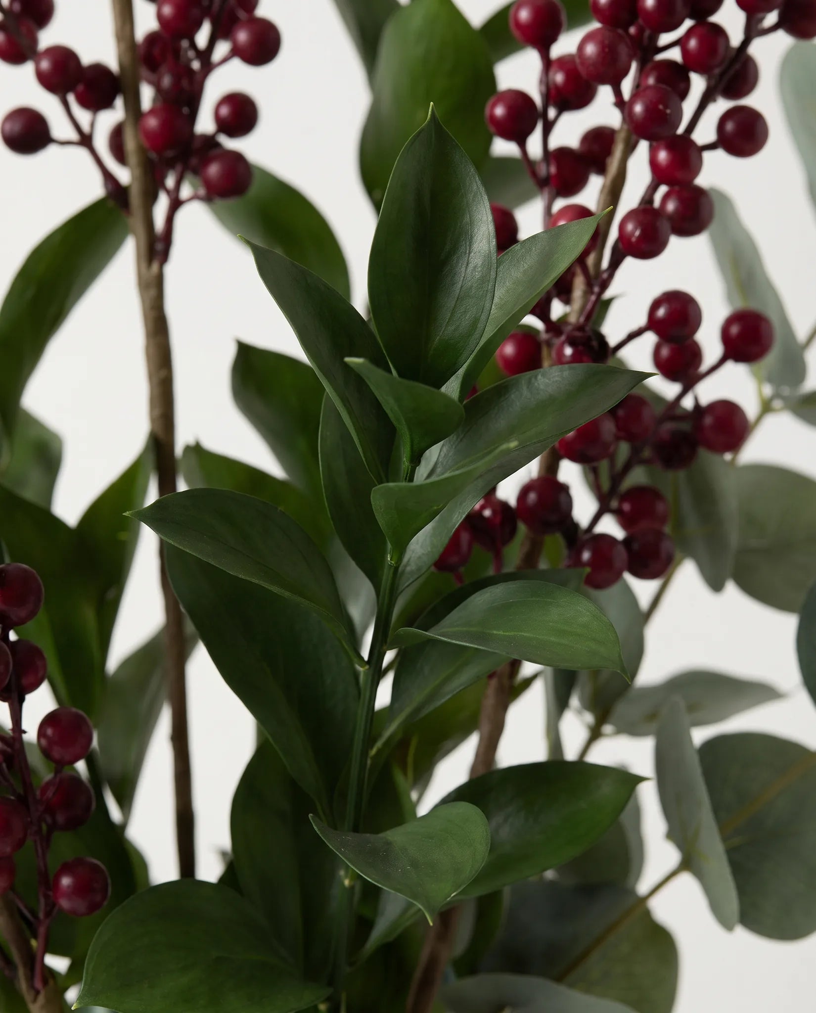 Gros plan sur le ruscus artificiel de « Sous-Bois »