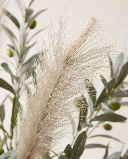Gros plan sur la pampa artificielle de « Branches d'Olivier »